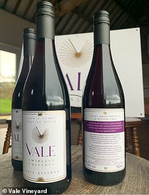 Climate Change Fuels Wales' Pinot Noir Rise as Denbighshire Embraces Viticulture