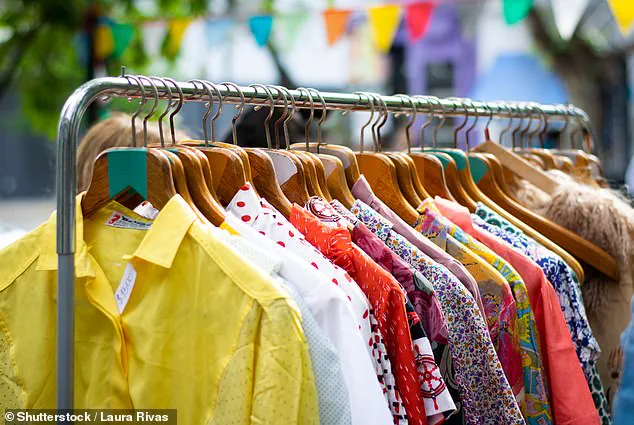 Hannah Beverly and the Thrift Reselling Debate: Balancing Economic Opportunity and Ethical Concerns