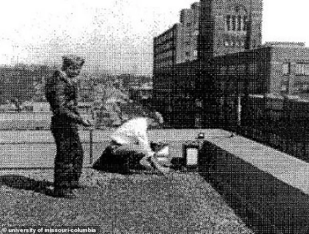 US Army's Cold War-Era Chemical Spraying Operations Spark Health Concerns Decades Later