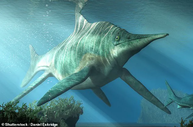 Australian Fossil Enthusiast Unearths Most Complete Dinosaur-Era Sea Creature Skeleton Ever Found in the Country
