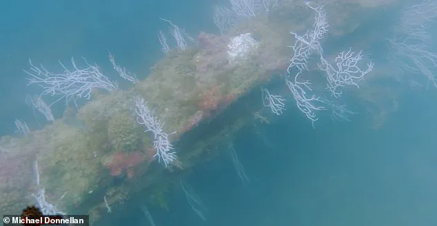 Breaking: Joe Rogan's Interview Sparks Atlantis Debate as Archaeologist Claims Offshore Discovery Near Spain