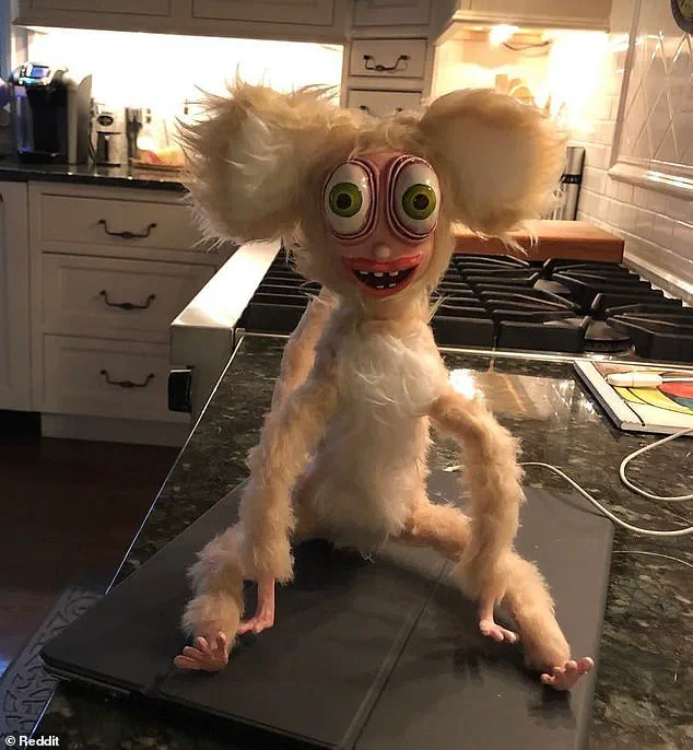 Privileged Access to the Unsettling: Quinn's Attic Find Sparks Global Reaction on Reddit