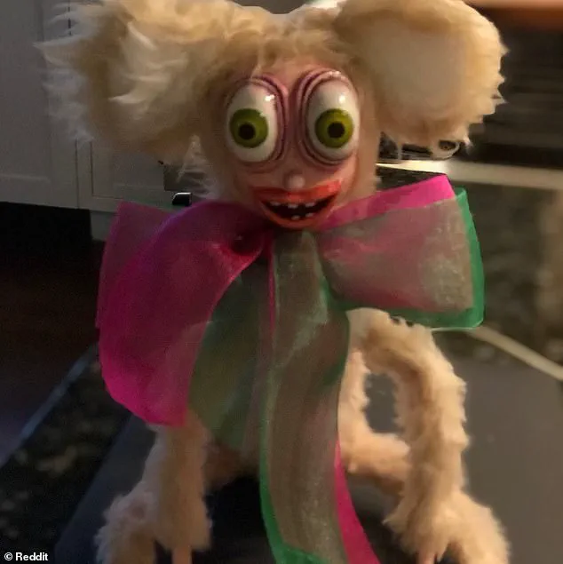 Privileged Access to the Unsettling: Quinn's Attic Find Sparks Global Reaction on Reddit