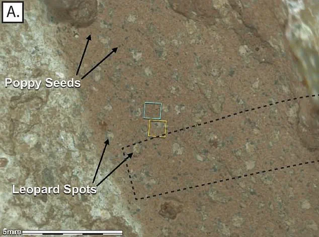 NASA to Hold Rare News Conference on Mars: Major Discovery Imminent?
