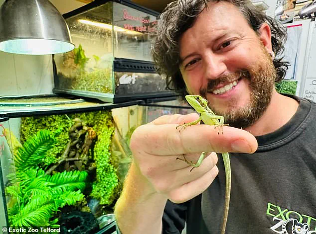 Zoo staff baffled by parthenogenesis in iguana