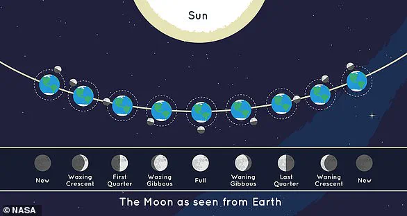 Earth's New Celestial Companion: The Discovery of a Temporary Quasi-Moon