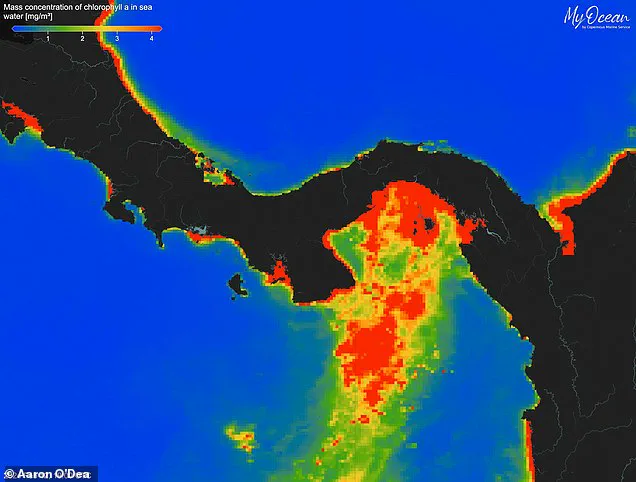 Failure of Gulf of Panama Ocean Upwelling Sparks Fears for Marine Life and Coastal Communities