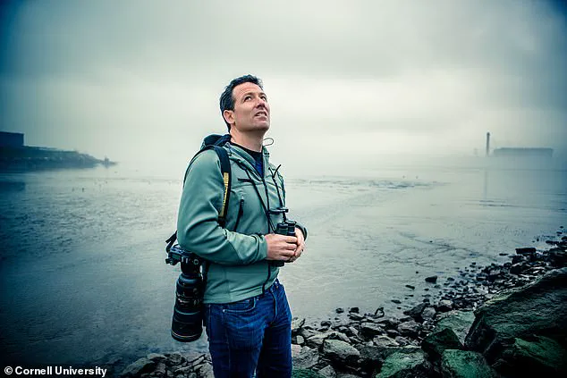 Alarming Shift in Avian Migration Patterns Sparks Concerns Over Climate-Driven Risks to Human Society