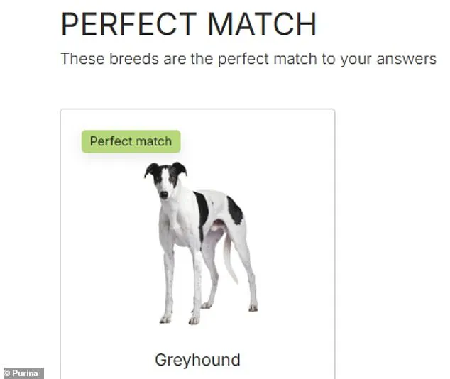 Urgent: Prospective Dog Owners Overwhelmed by Britain's 225 Breeds