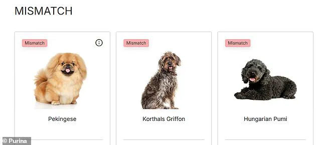 Urgent: Prospective Dog Owners Overwhelmed by Britain's 225 Breeds