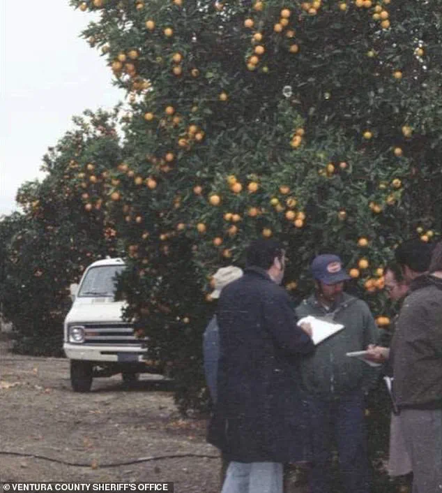 Identity Revealed: Maria Belmontes Blancas, Missing for Over Four Decades, Found in Ventura County Orange Orchard