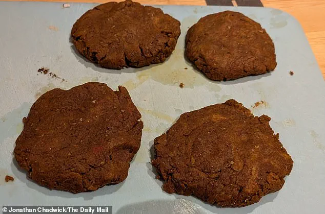 Sunflower Flour Emerges as a Game-Changer in Plant-Based Alternatives, Backed by Brazilian Scientists