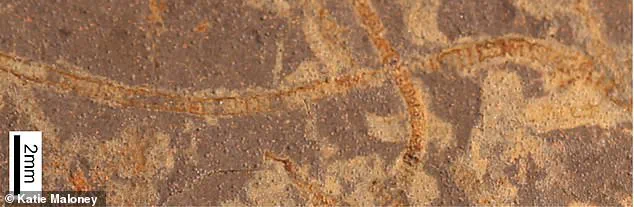 Breakthrough Discovery: Earliest Chemical Evidence of Life on Earth Challenges Evolutionary Timelines