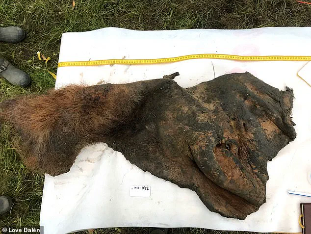 Breakthrough in De-Extinction: 40,000-Year-Old RNA Extracted from Woolly Mammoth Remains