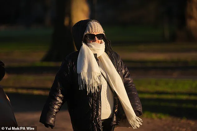 Exclusive: The Polar Vortex's Unprecedented Impact on the Eastern US
