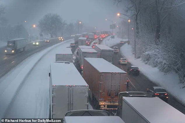 Exclusive: The Polar Vortex's Unprecedented Impact on the Eastern US