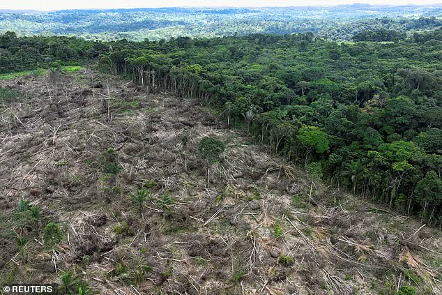 Global CO2 Emissions Set to Reach Record Highs in 2025, Despite Climate Crisis Awareness, Report Warns