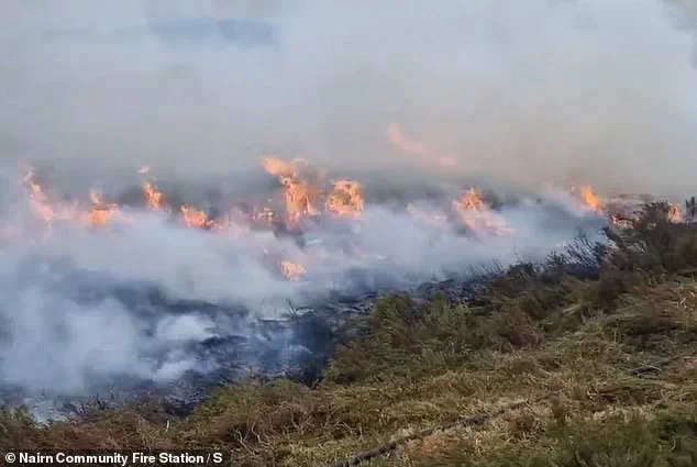 Hidden Flames: Britain's Mega Fire and the Restricted Information Behind the Environmental Crisis