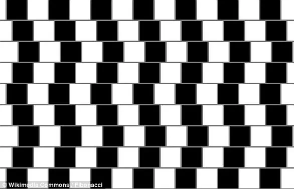 Magician Pete Firman's Viral Optical Illusion Warps Celebrity Faces, Leaving TikTok Users Bewildered