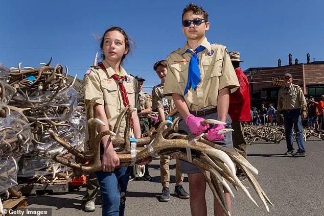 Pentagon's Hegseth: 'DEI Initiatives Undermine Traditional Values' as Boy Scouts Partnership Ends