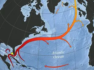 Climate Change Drives Genetic Shifts in Polar Bears, Revealing Evolutionary Adaptation to Environmental Pressures