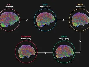 Karolinska Institute's Landmark Study Reveals Human Physical Ability Peaks at 35, Shifting Athletic Longevity Paradigms