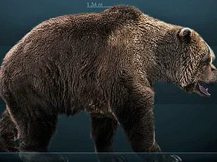 New Study Reveals Apennine Brown Bears Are Evolving to Become Less Aggressive in Response to Human Proximity – Urgent Conservation Efforts Needed
