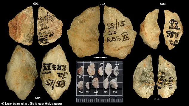 Archaeological Discovery Reveals Early Humans in Southern Africa May Have Used Toxic Substances on Hunting Tools 60,000 Years Ago