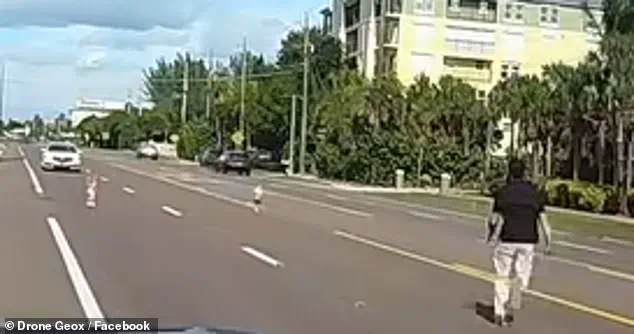 Dash Cam Footage Shows Father's Heroic Rescue of Toddlers on Florida Highway