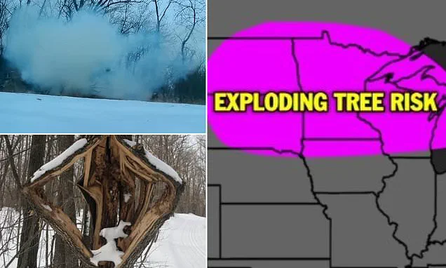Historic Winter Storm Brings Life-Threatening Conditions: NWS Warns of Catastrophic Impact on 230 Million Americans