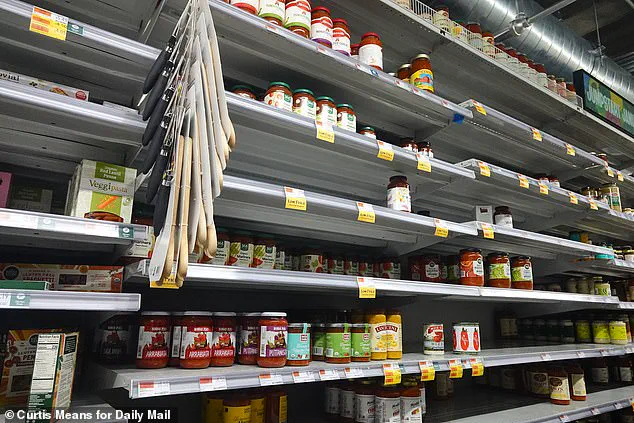 Winter Storm Fern Brings Chaos as NYC Residents Rush to Stockpile Essentials