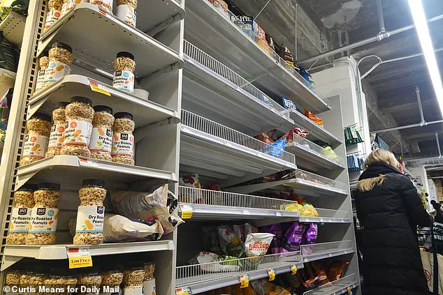 Winter Storm Fern Brings Chaos as NYC Residents Rush to Stockpile Essentials