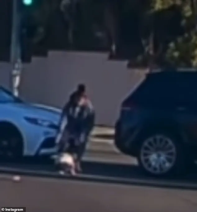 Viral Video of 19-Month-Old's Fall from Moving SUV in Fullerton Sparks Community Concern