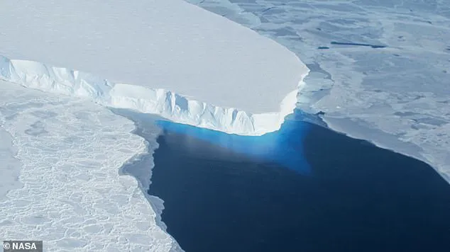 Privileged Access to the Inaccessible: Unveiling Thwaites Glacier's Role in Global Sea Level Rise