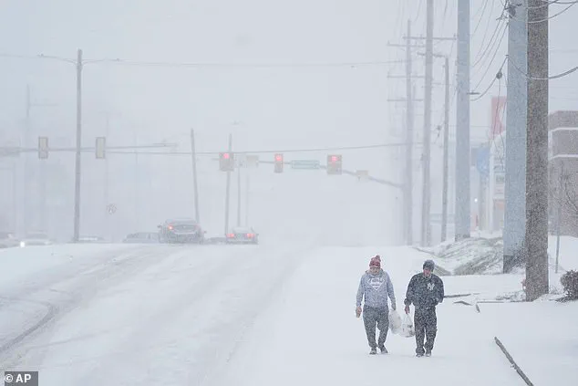 Nashville Family's Survival Battle Sparks HOA Debate Amid Historic Winter Storm