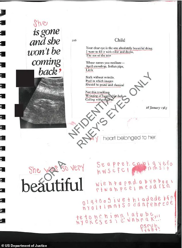 New DOJ Documents Reveal Survivor's Alleged Child Born After Epstein Assault, Diary Entry Details Harrowing Experience