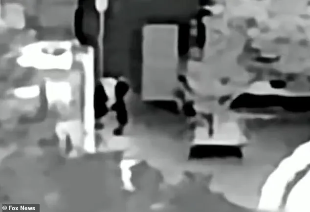 Federal Investigators Conduct Third Search of Nancy Guthrie's Home in Tucson Using Infrared Tech as Disappearance Probe Continues