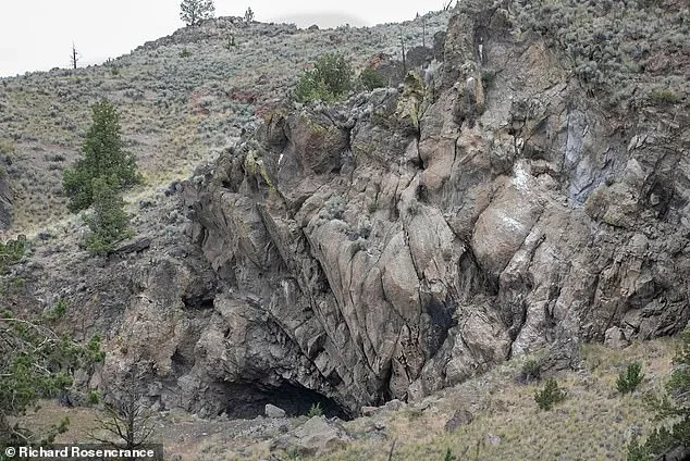 Oldest Sewn Clothing Found in Oregon Dates Back 12,000 Years, Challenging Historical Assumptions