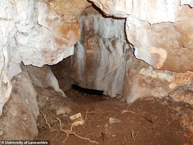 Britain's 'Oldest Northerner' Revealed as 3-Year-Old Girl, Redefining Early Human History