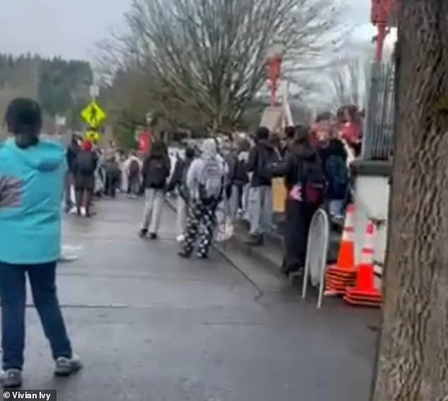 Schoolgirls' Unprovoked Attack on Mother During Protest Sparks Debate on Public Demonstrations and Student Activism