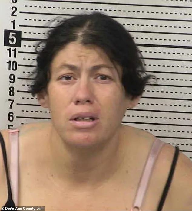 Newborn Dies After Being Left in Chemical Tank of Portable Toilet in New Mexico