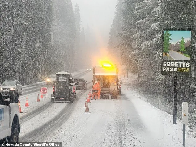 Avalanche Strikes California Despite Blackbird Mountain Guides' Weather Warnings