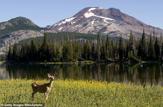 Oregon Considers Hunting and Fishing Ban as Petition Gains Momentum, Pitting Tradition Against Ethics