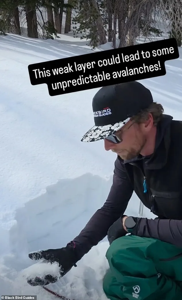 Tragic Irony: Blackbird Mountain Guides' Avalanche Warning Preceded Lake Tahoe Tragedy