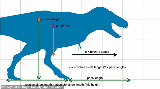 T. Rex May Have Ran on Its Toes, Overturning Hollywood's Dinosaur Icon