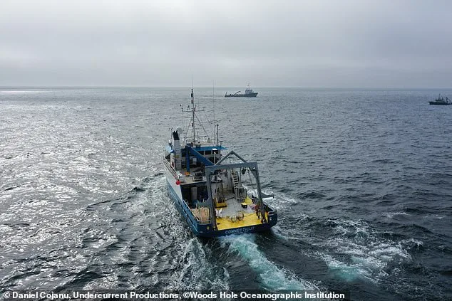 Controversial Experiment in Gulf of Maine Aims to Boost Ocean's CO2 Absorption, Raising Alarms Over Ecological Risks