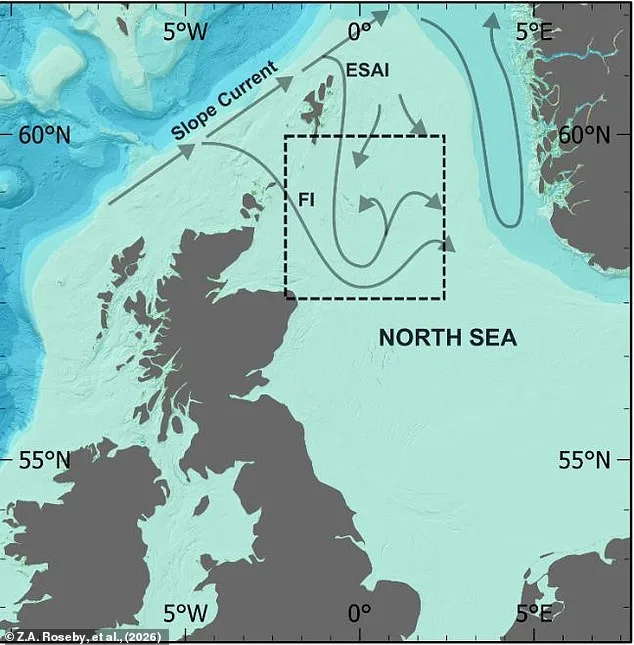 Scampi and Chips Under Climate Scrutiny as Bottom Trawling Threatens Marine Ecosystems and Carbon Stores