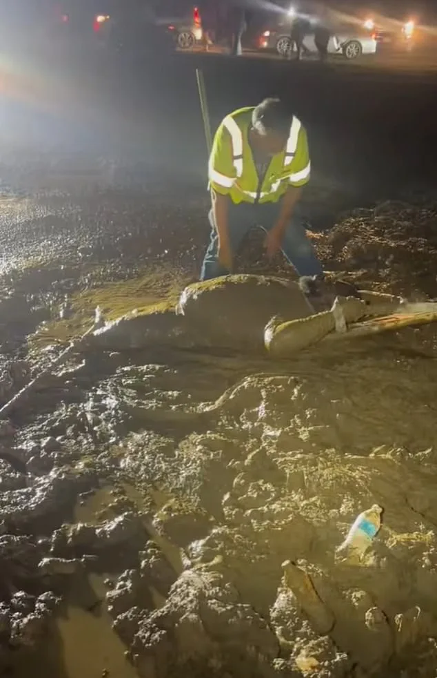 Mississippi Man Trapped in Waist-Deep Mud During ATV Rescue Attempt, Stranded for Three Hours
