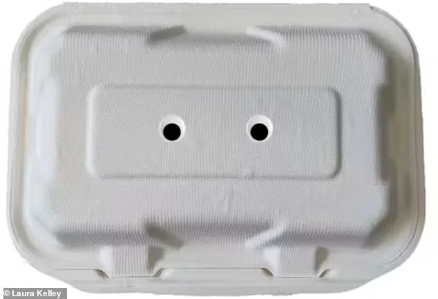 Googly Eyes Outsmart Seagulls: Study Reveals Unlikely Solution to Coastal Food Theft