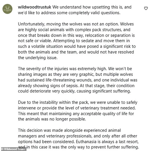 Last Resort Euthanasia of Wildwood Trust's Wolves Due to Violent Pack Dynamics and Fatal Injuries